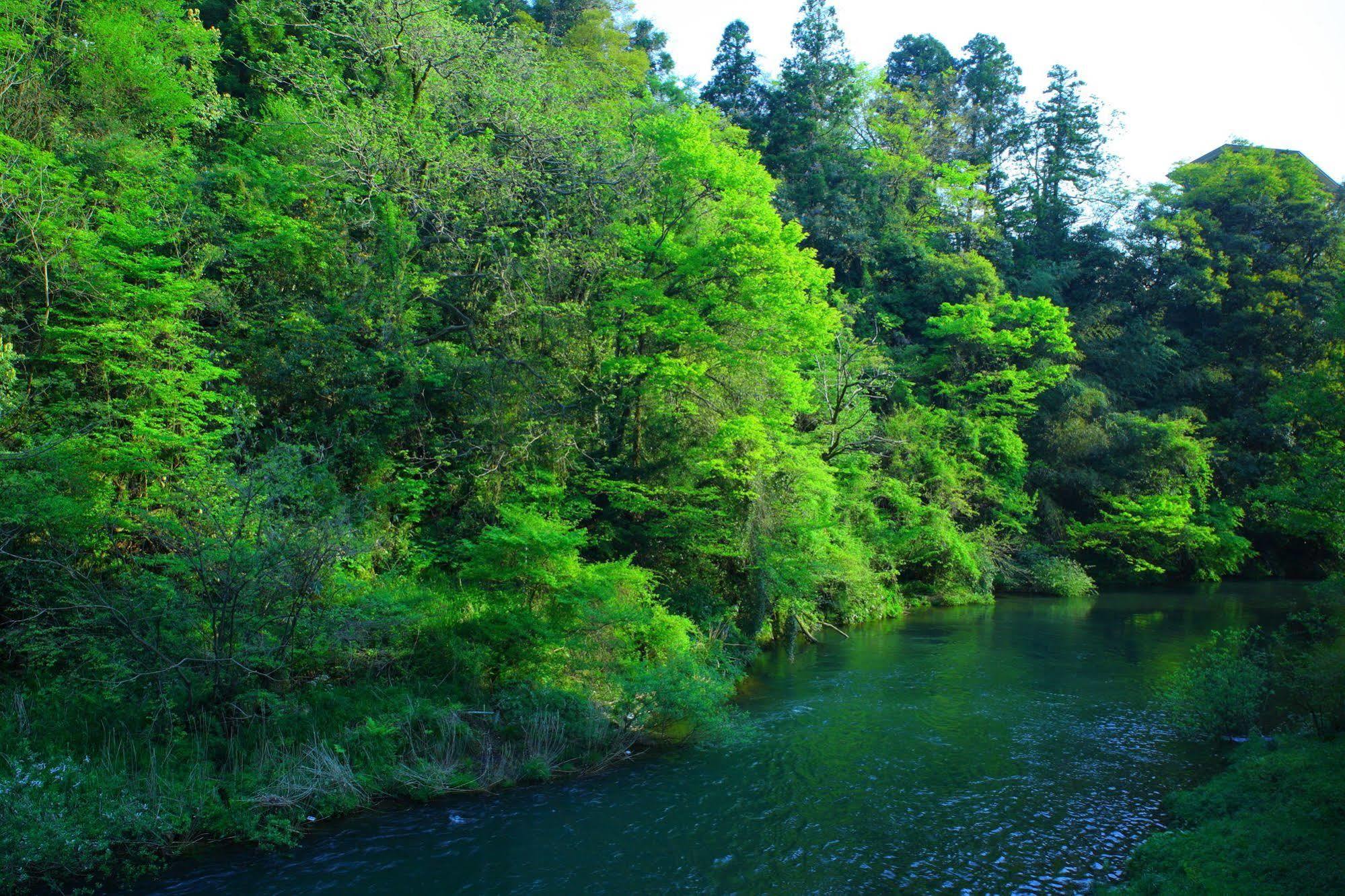 Yamanakaonsen Ohanami Kyubei Kaga  Bagian luar foto